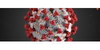 Coronavirus, handelaars en huurprijzen, een moeilijk huishouden